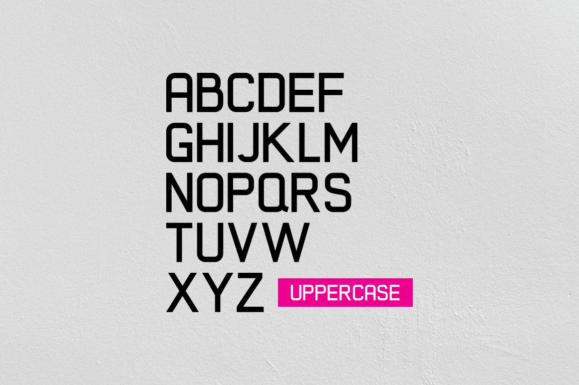 Xelo - Modern Sans - 4 Styles