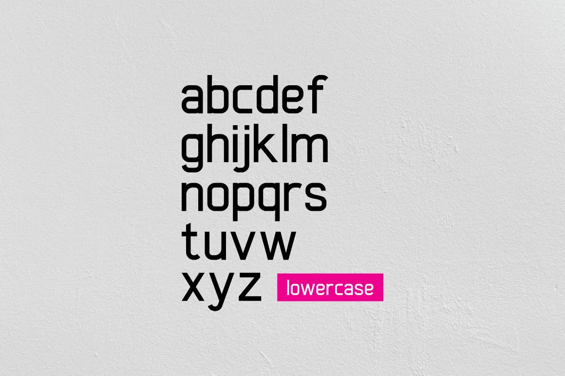 Xelo - Modern Sans - 4 Styles